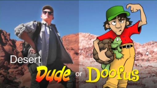 Dude or Doofus video